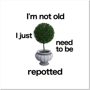 I'm not old. I just need to be repotted. Posters and Art